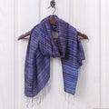Handloomed Fringed Striped Blue and Dark Purple Silk Scarf - Twilight Iridescence